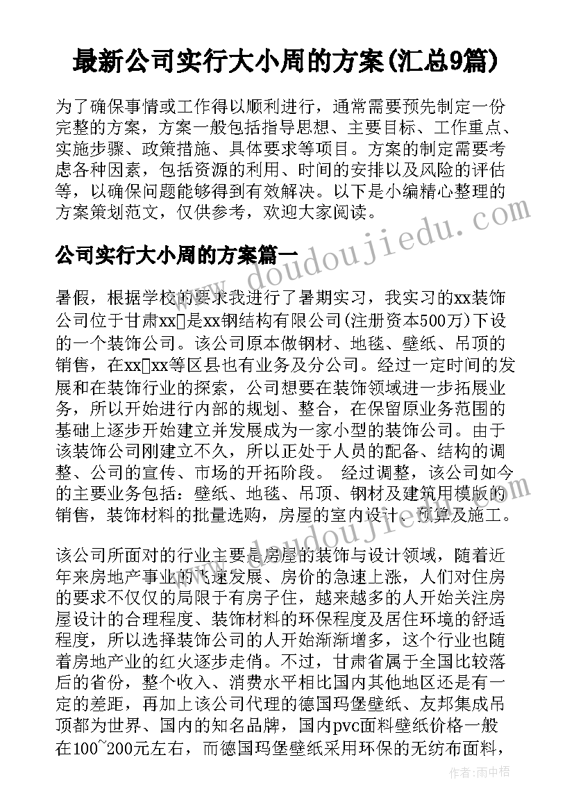 最新公司实行大小周的方案(汇总9篇)