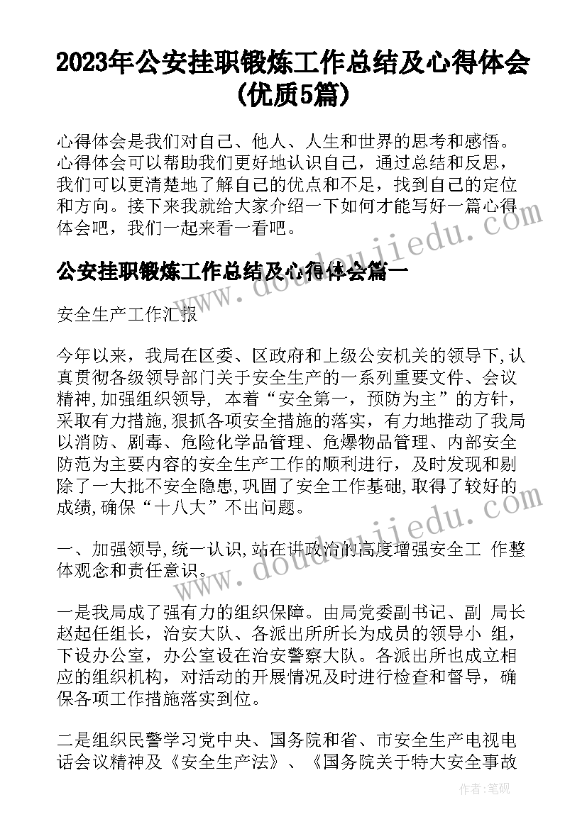 2023年公安挂职锻炼工作总结及心得体会(优质5篇)