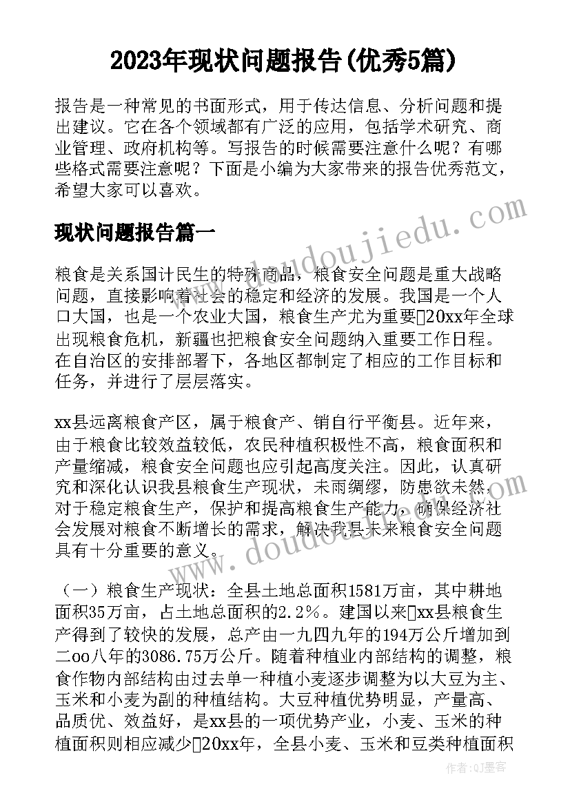 2023年现状问题报告(优秀5篇)