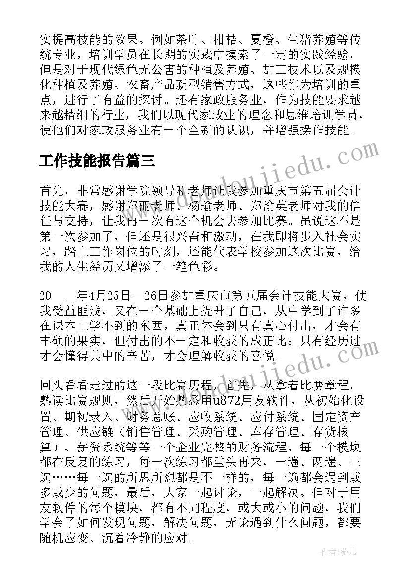 2023年工作技能报告 职业技能比赛年度工作总结报告精彩(汇总5篇)