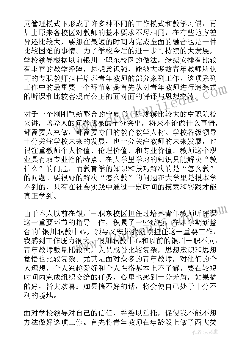 2023年青年教师年度总结摘要 青年教师年度工作总结(实用5篇)