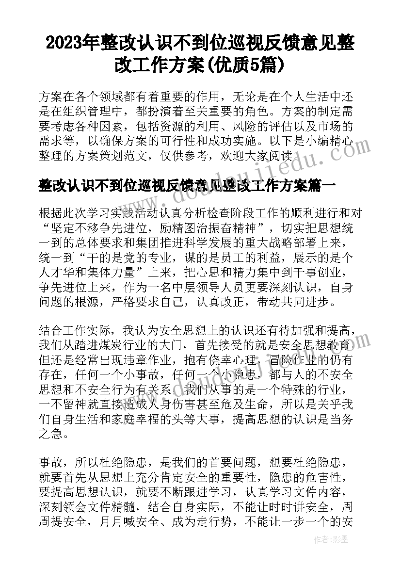 2023年整改认识不到位巡视反馈意见整改工作方案(优质5篇)