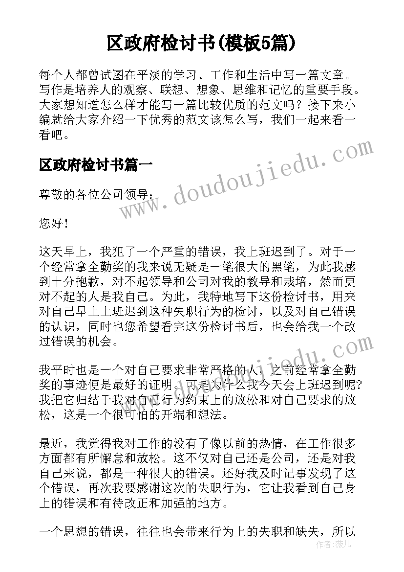 区政府检讨书(模板5篇)