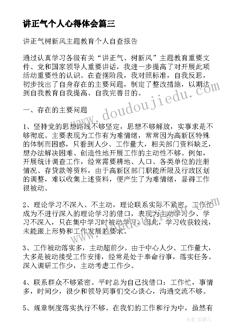 讲正气个人心得体会(精选5篇)