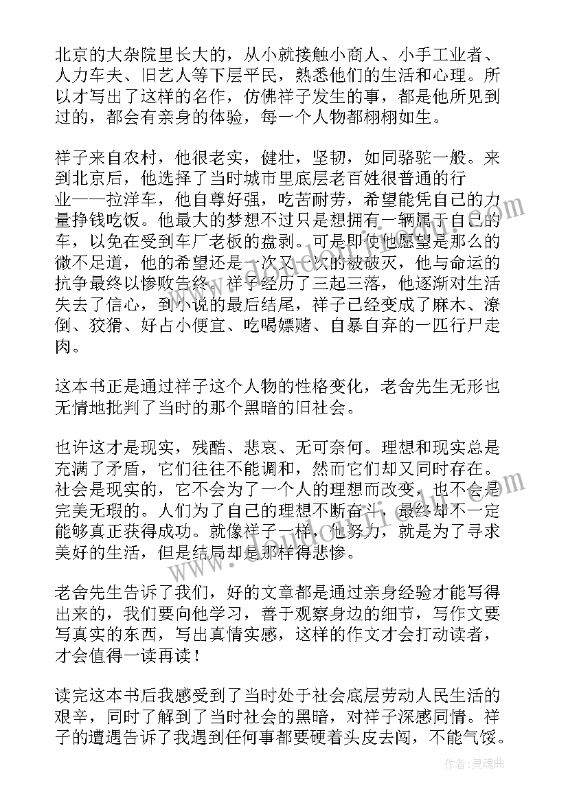 学生写骆驼祥子读后感(精选7篇)