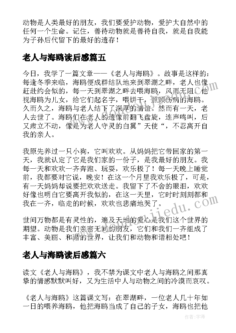 2023年老人与海鸥读后感(通用6篇)