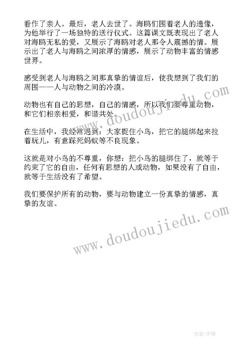 2023年老人与海鸥读后感(通用6篇)