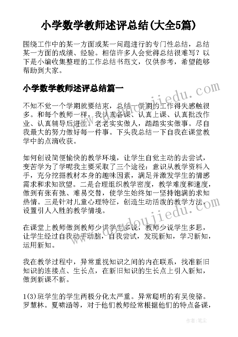 小学数学教师述评总结(大全5篇)