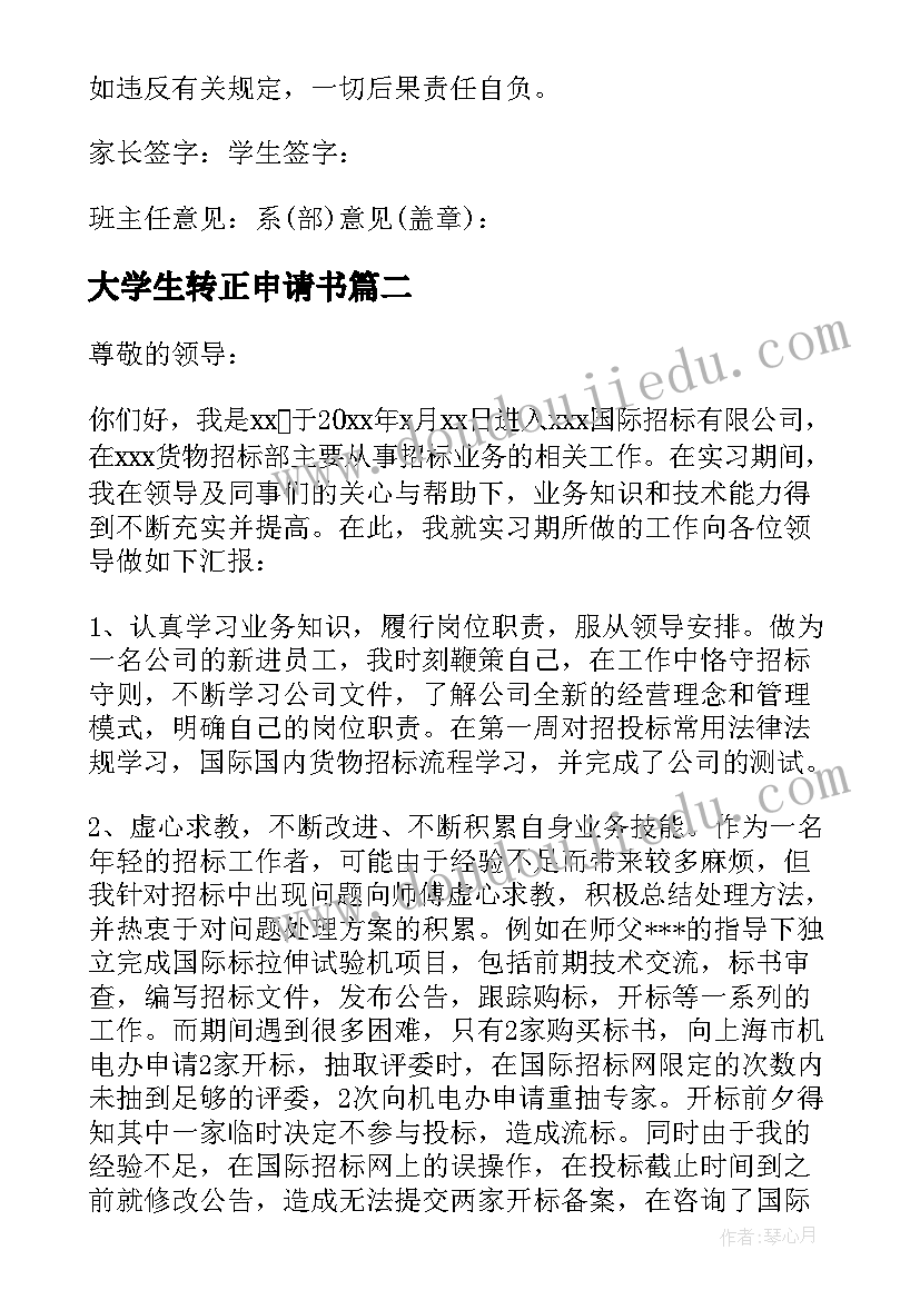 2023年大学生转正申请书(模板5篇)