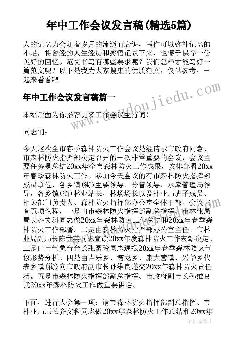 年中工作会议发言稿(精选5篇)