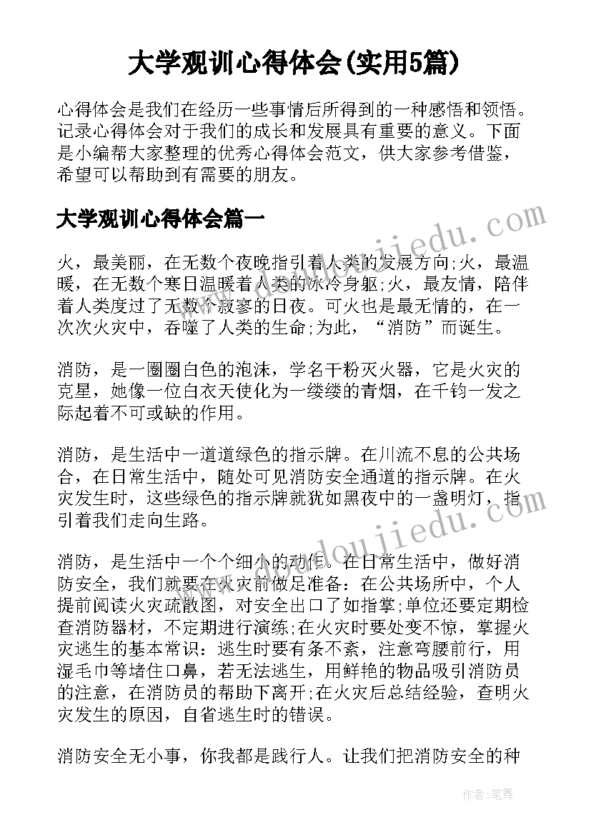 大学观训心得体会(实用5篇)