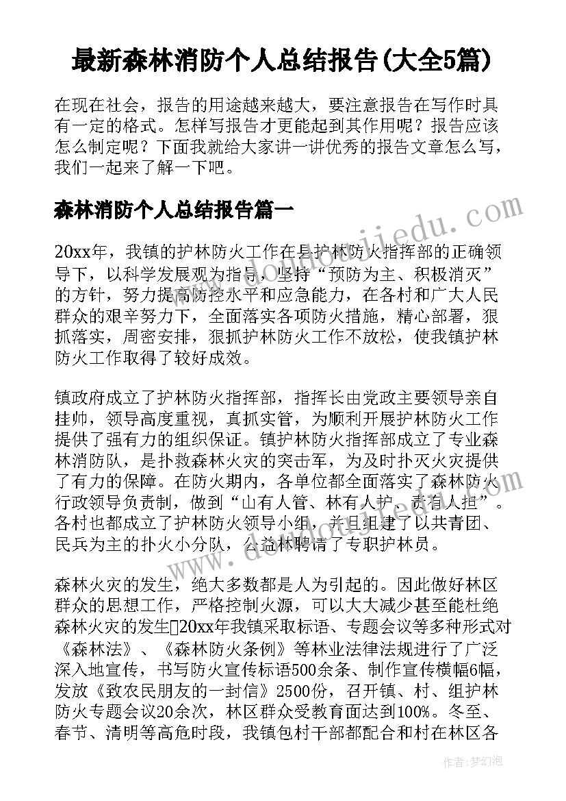 最新森林消防个人总结报告(大全5篇)