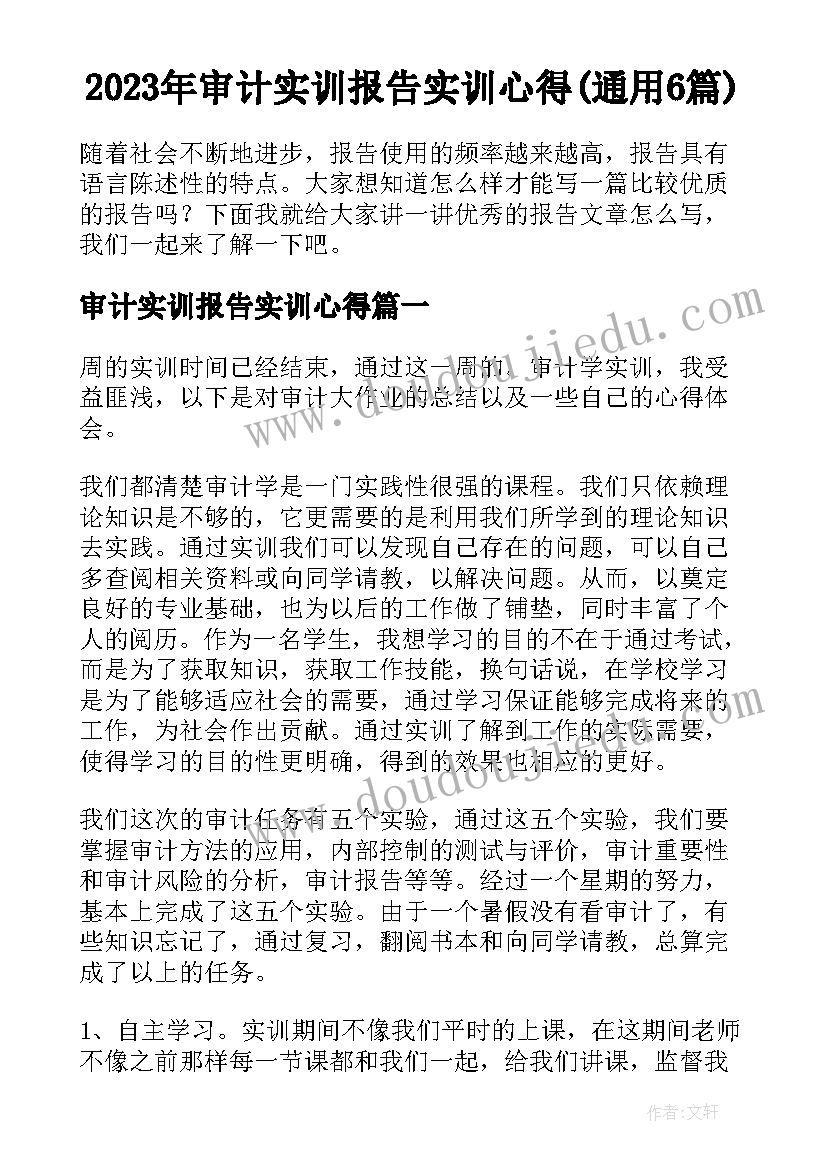 2023年审计实训报告实训心得(通用6篇)