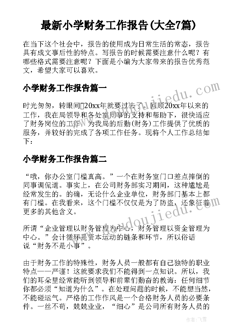 最新小学财务工作报告(大全7篇)