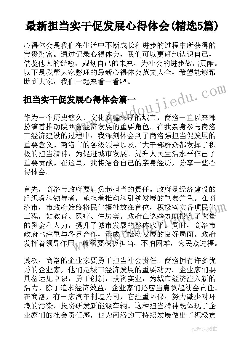 最新担当实干促发展心得体会(精选5篇)