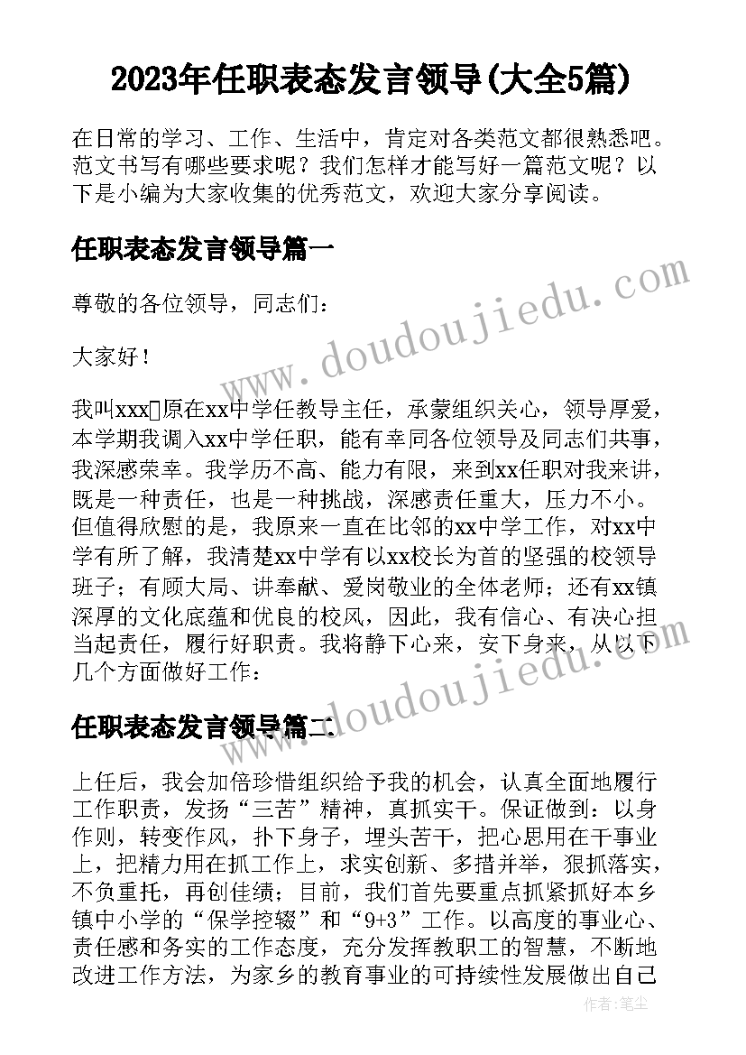 2023年任职表态发言领导(大全5篇)