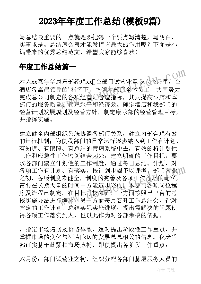 2023年年度工作总结(模板9篇)