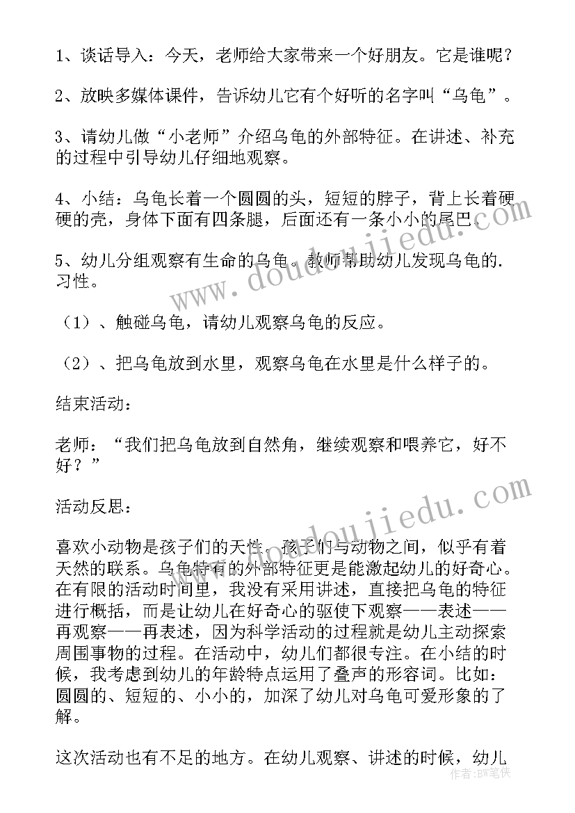 2023年小班教案认识水果及教学反思总结(优质5篇)