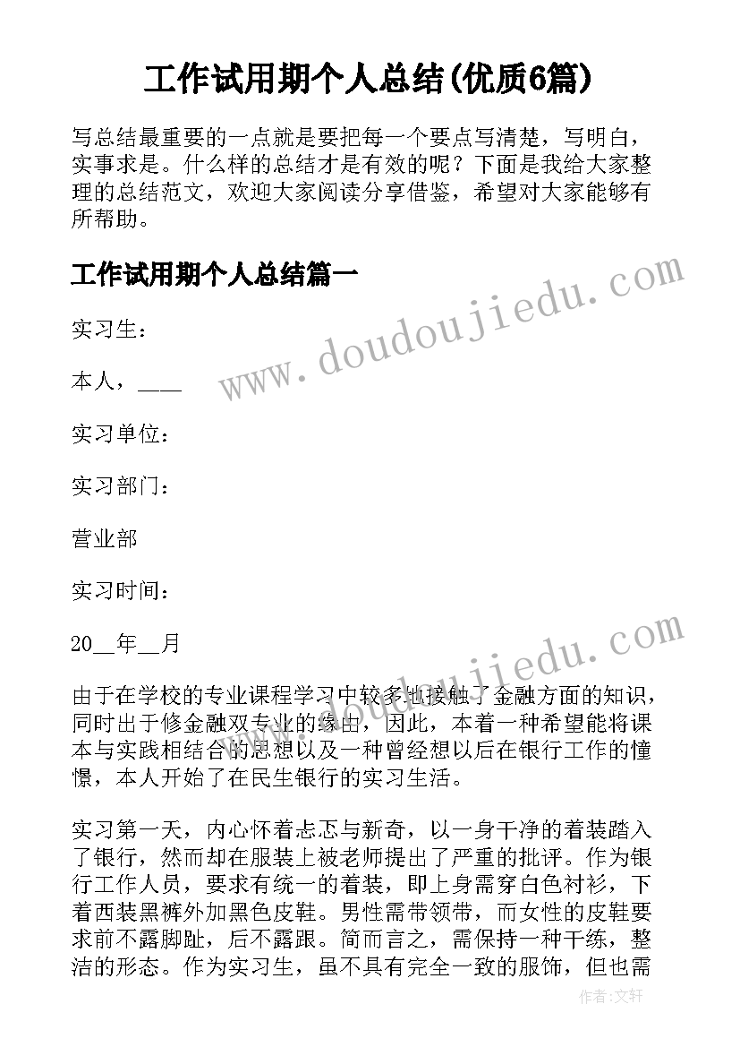 工作试用期个人总结(优质6篇)