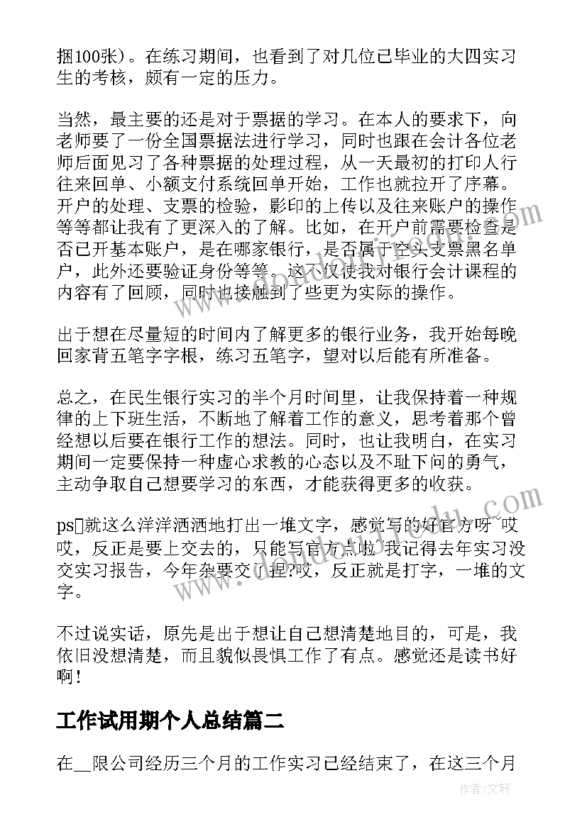 工作试用期个人总结(优质6篇)