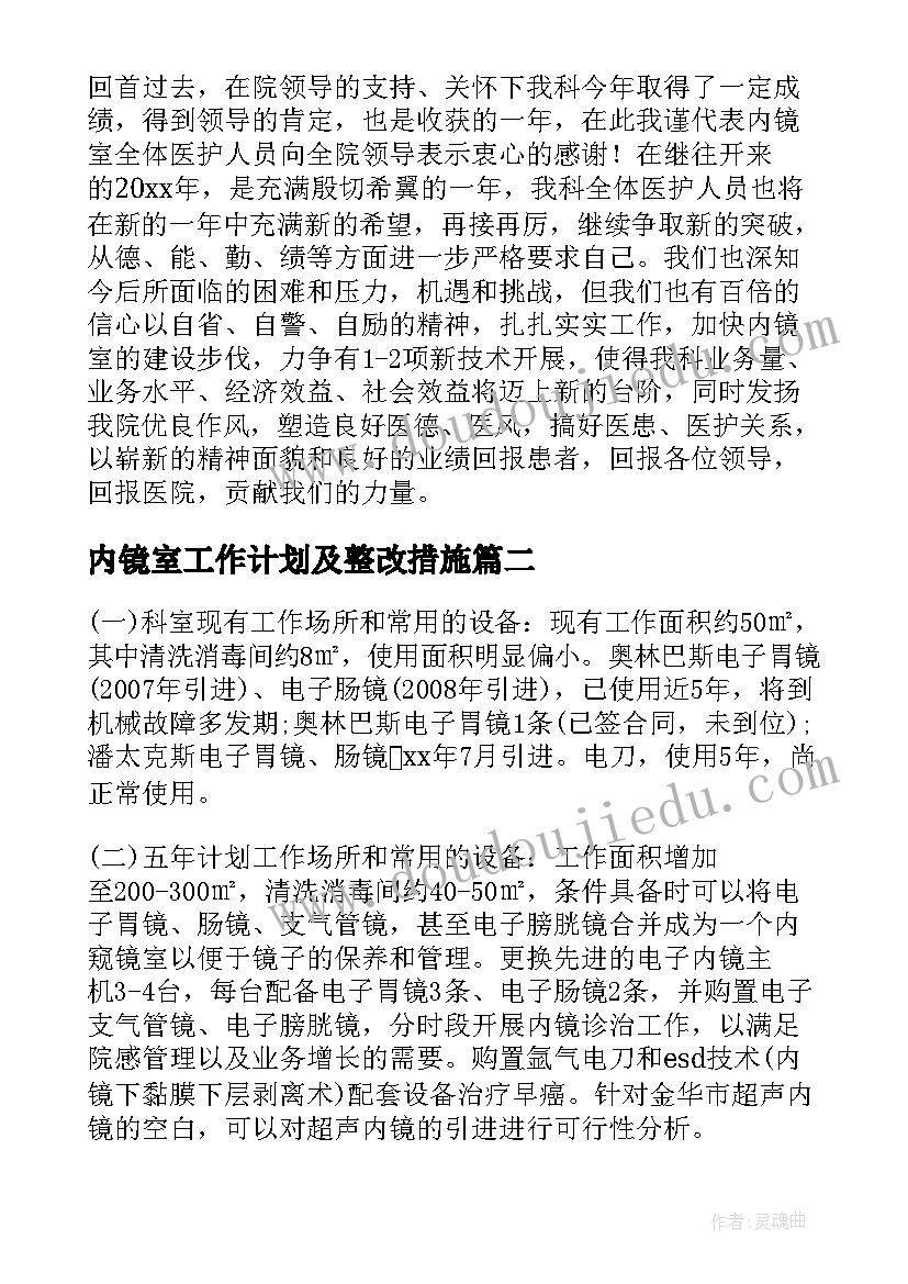 2023年内镜室工作计划及整改措施(实用5篇)