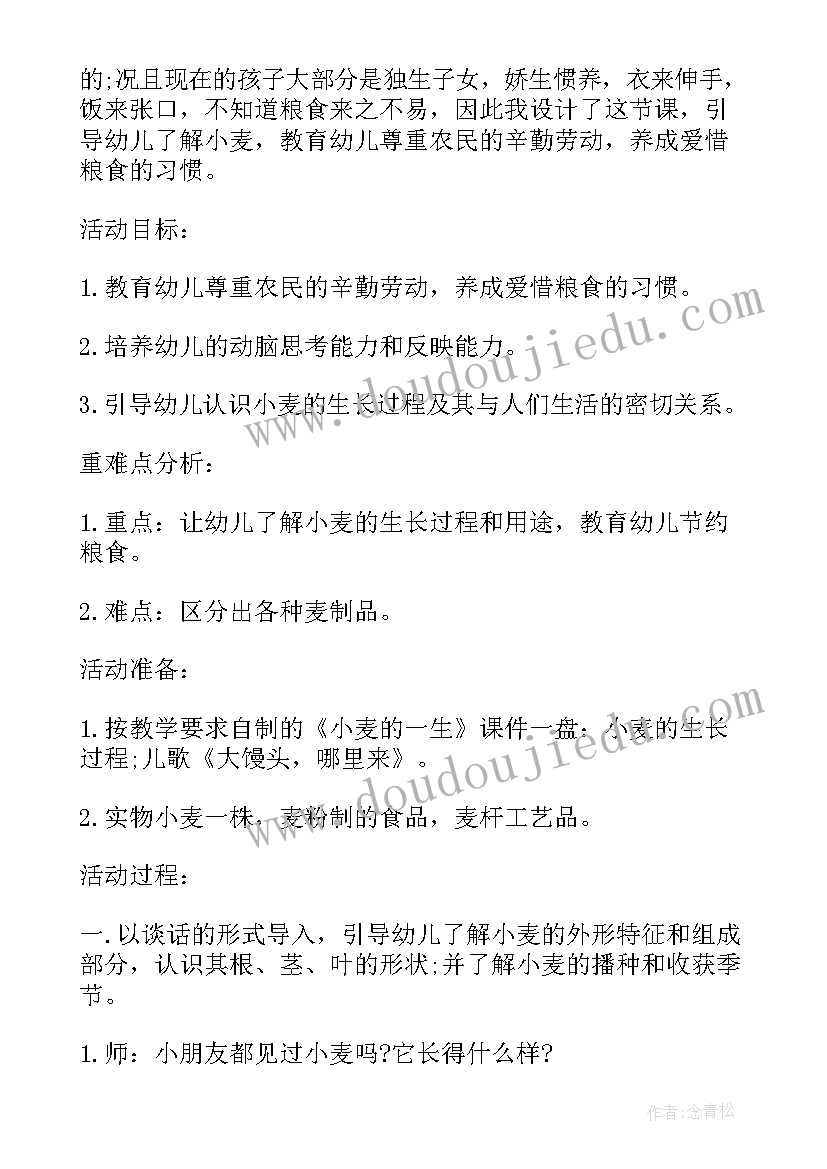 2023年幼儿社会性活动策划精编教案(实用5篇)