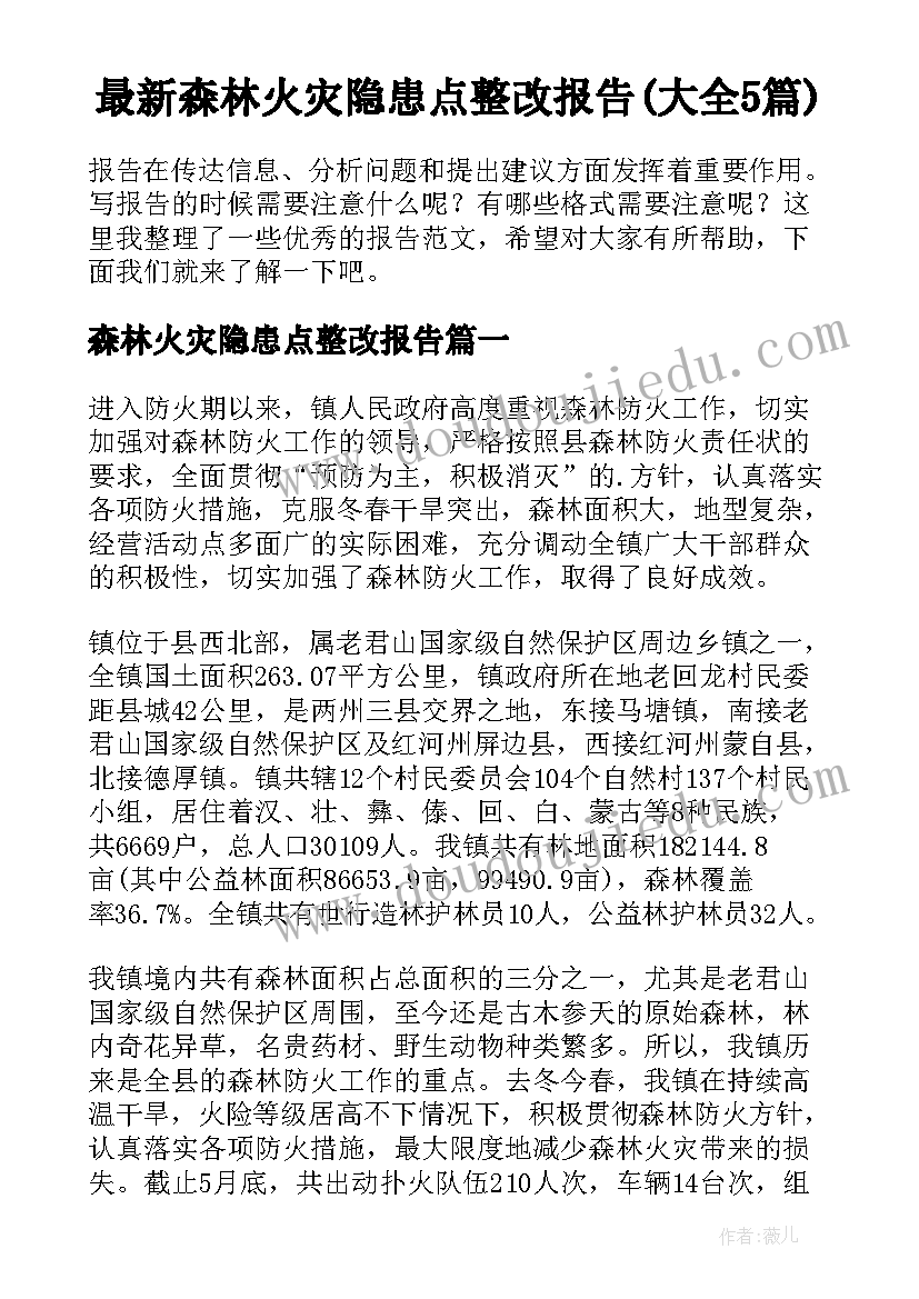 最新森林火灾隐患点整改报告(大全5篇)