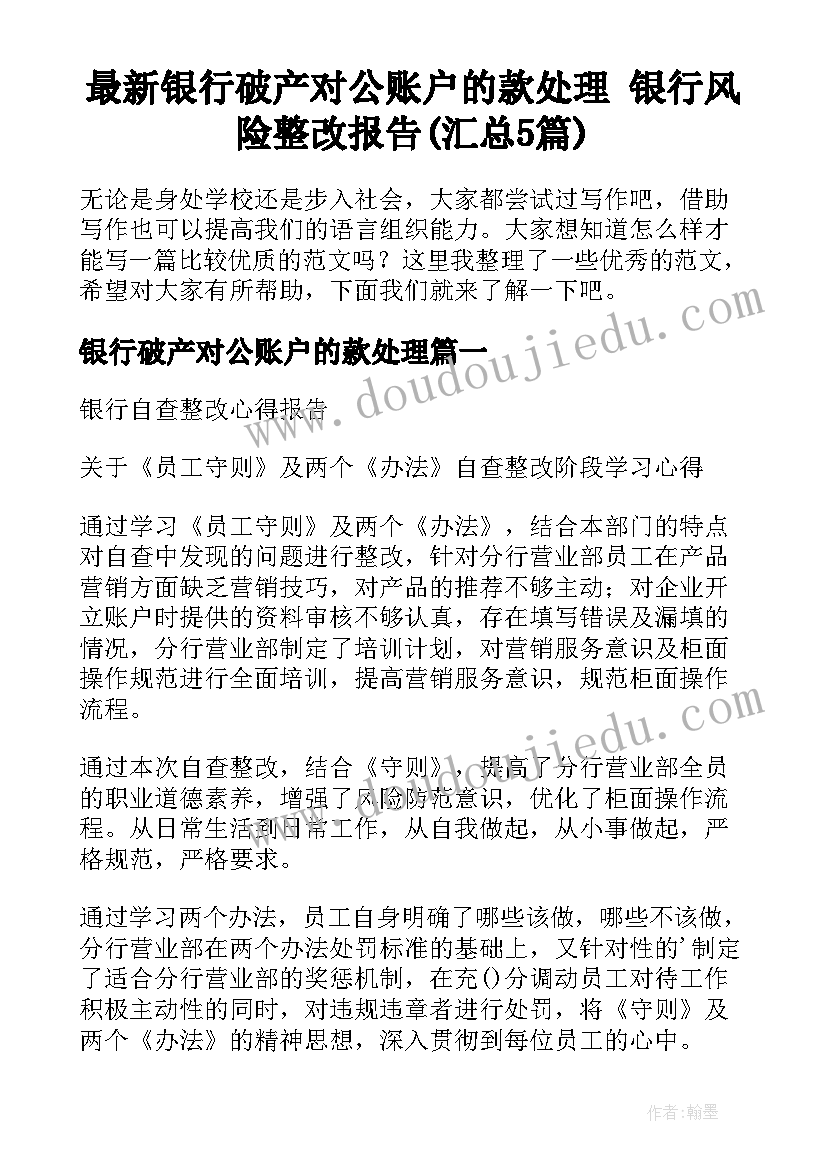 最新银行破产对公账户的款处理 银行风险整改报告(汇总5篇)