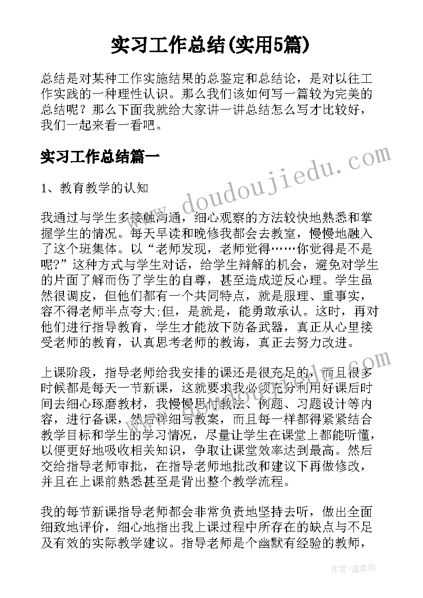 实习工作总结(实用5篇)