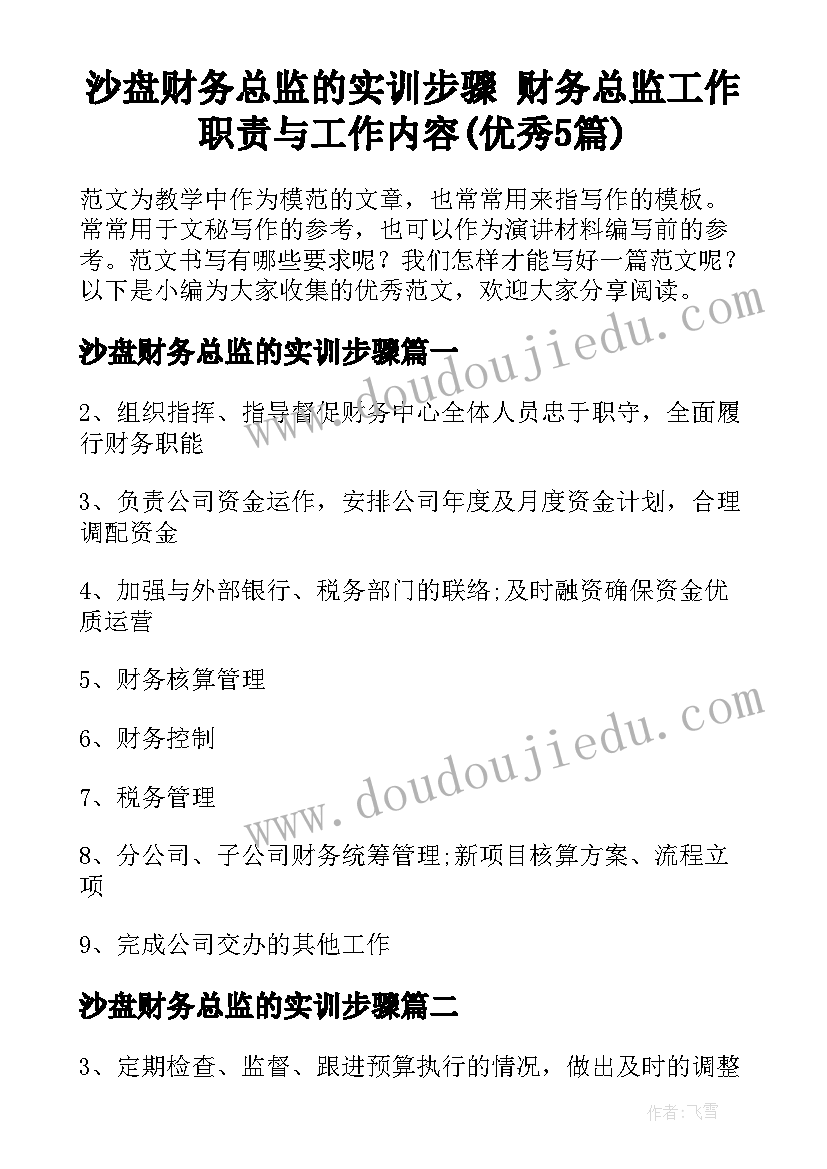 沙盘财务总监的实训步骤 财务总监工作职责与工作内容(优秀5篇)