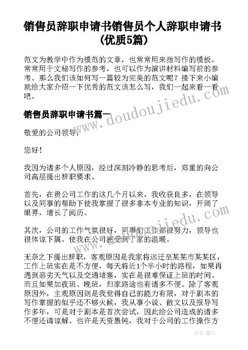 销售员辞职申请书 销售员个人辞职申请书(优质5篇)