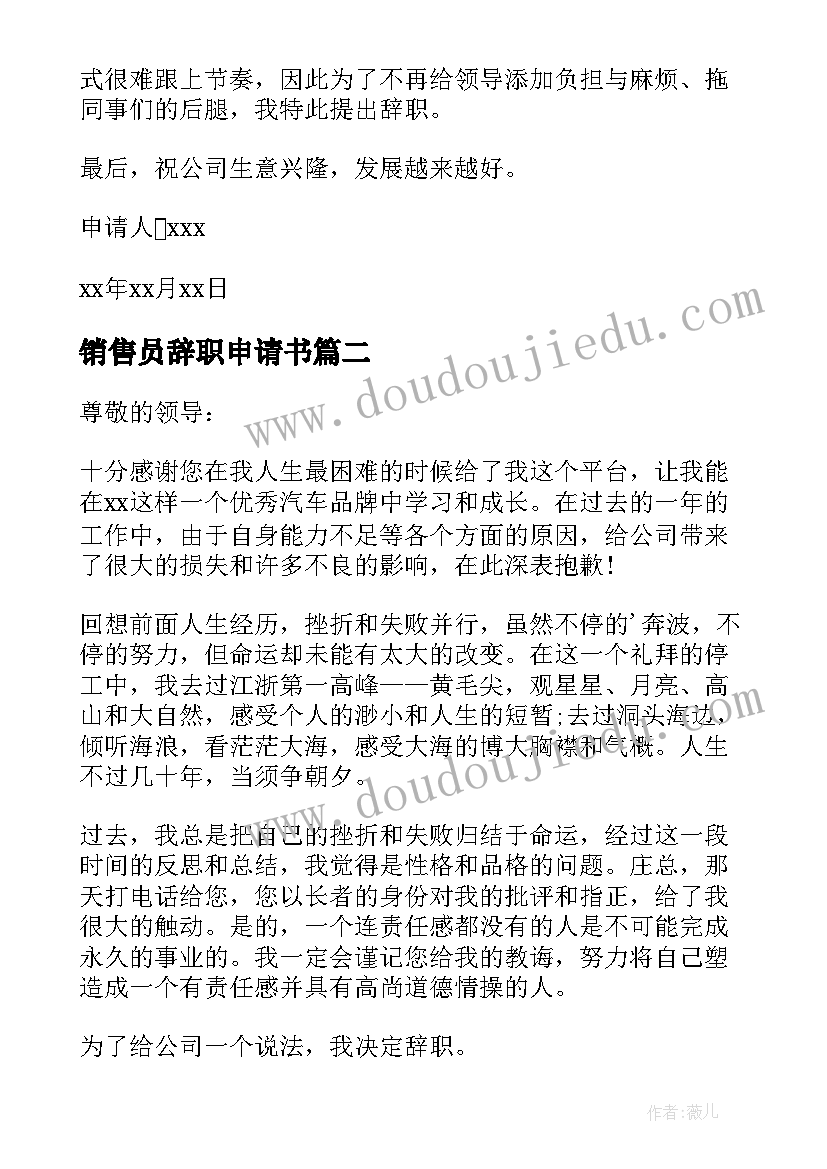 销售员辞职申请书 销售员个人辞职申请书(优质5篇)