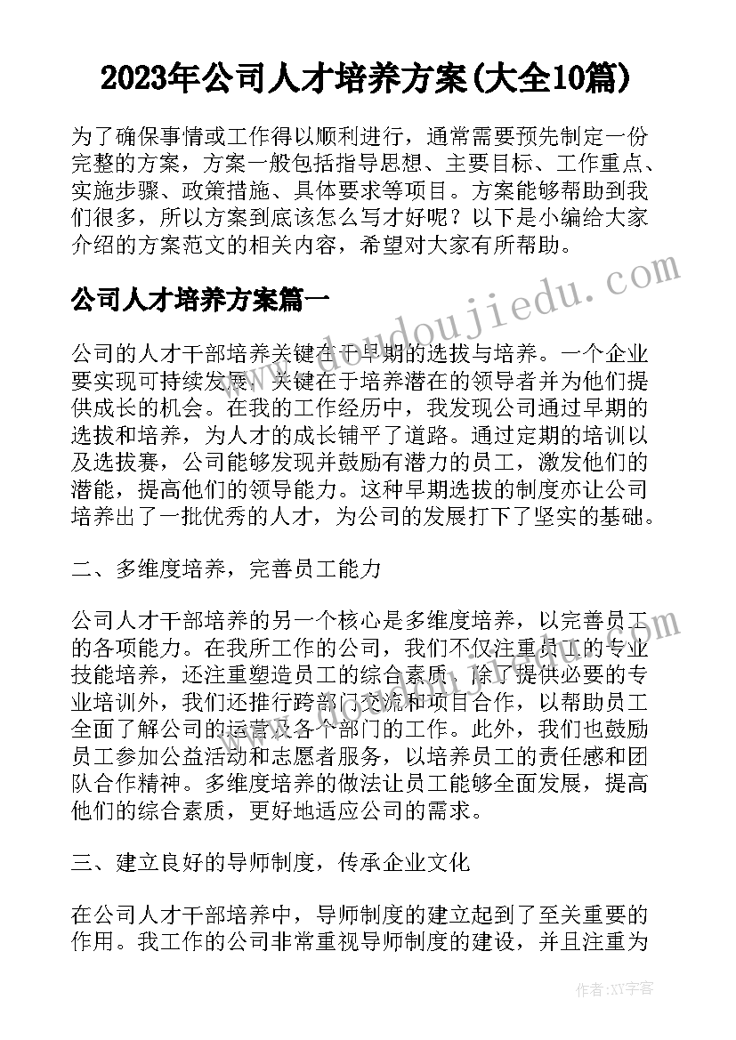 2023年公司人才培养方案(大全10篇)