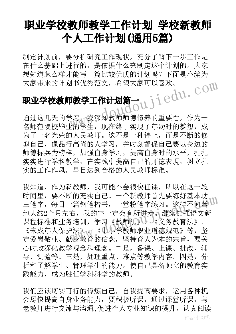 职业学校教师教学工作计划 学校新教师个人工作计划(通用5篇)