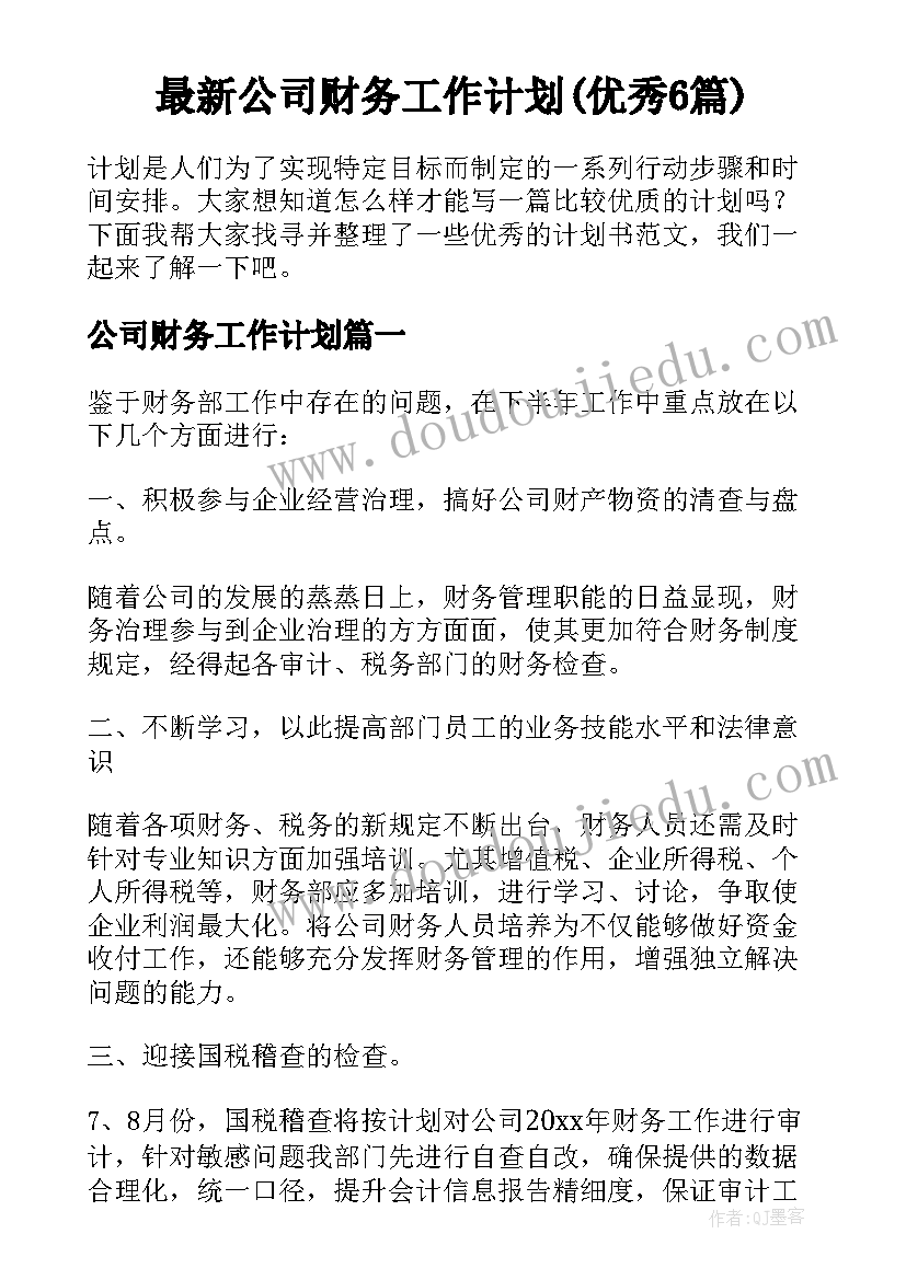 最新公司财务工作计划(优秀6篇)