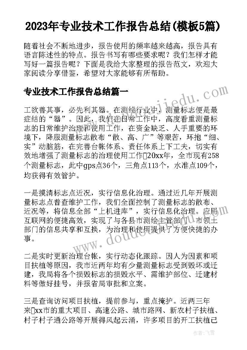 2023年专业技术工作报告总结(模板5篇)