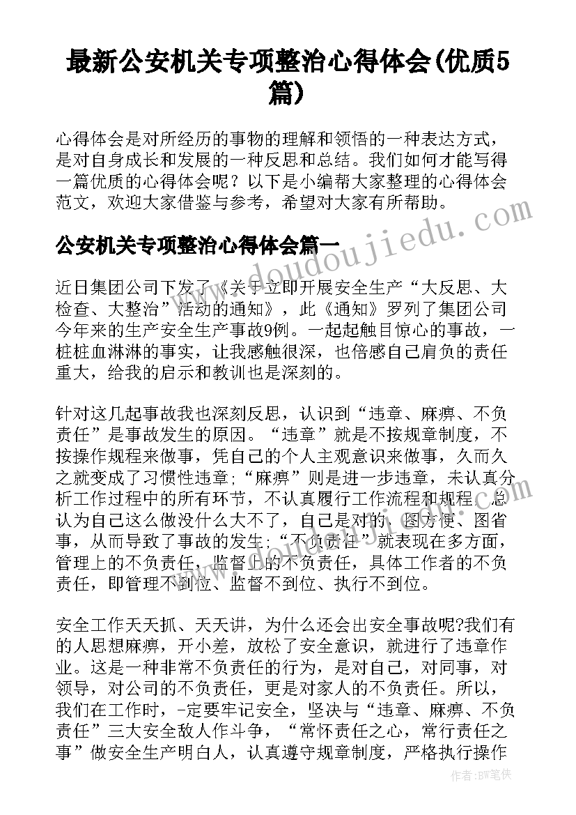 最新公安机关专项整治心得体会(优质5篇)