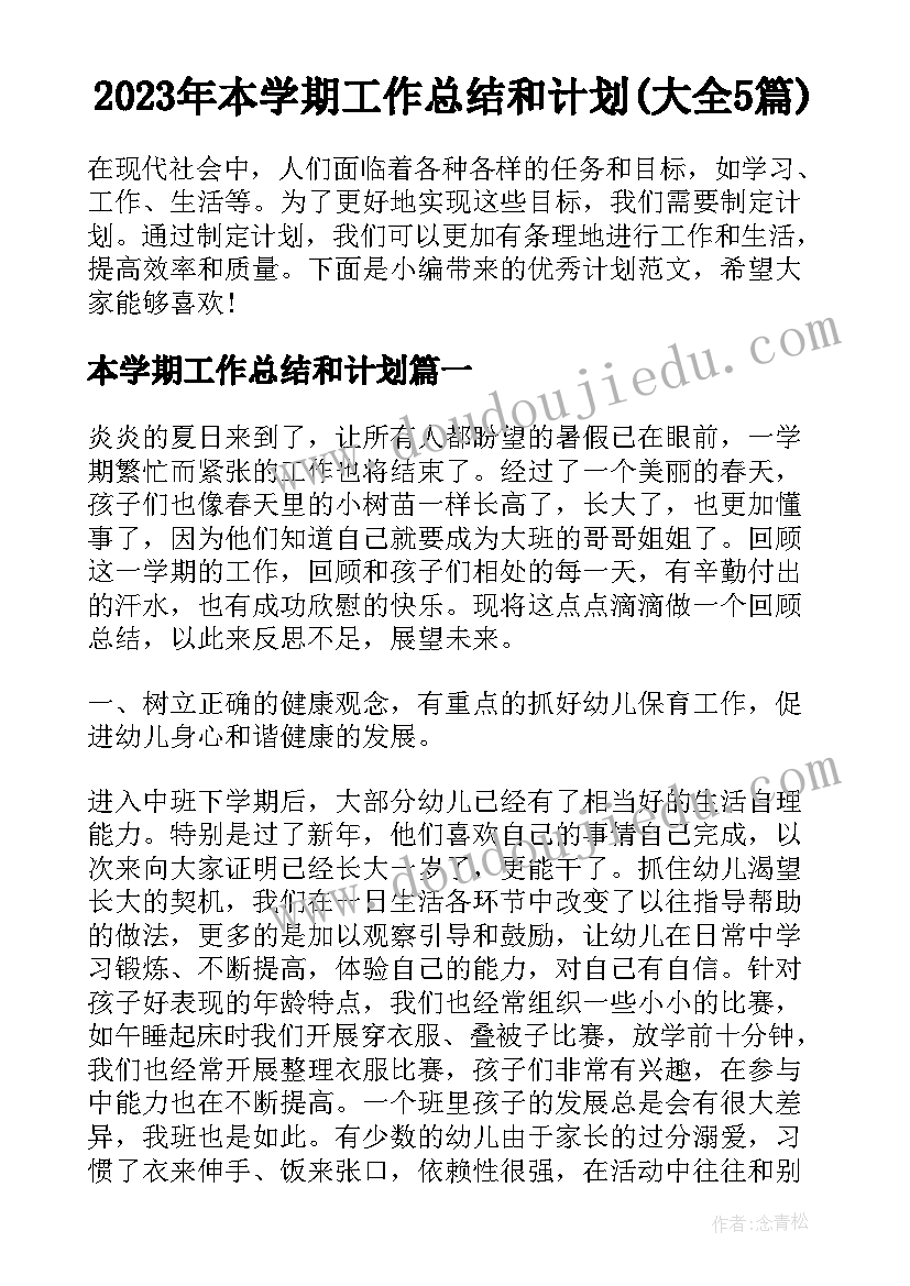 2023年本学期工作总结和计划(大全5篇)