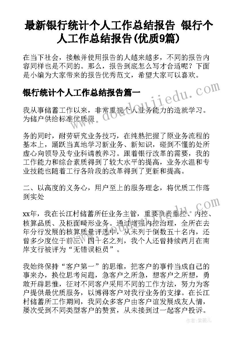 最新银行统计个人工作总结报告 银行个人工作总结报告(优质9篇)