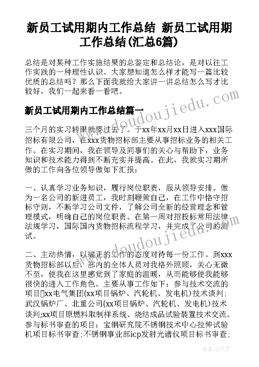 新员工试用期内工作总结 新员工试用期工作总结(汇总6篇)