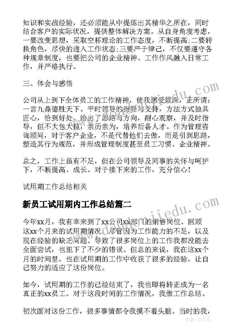 新员工试用期内工作总结 新员工试用期工作总结(汇总6篇)