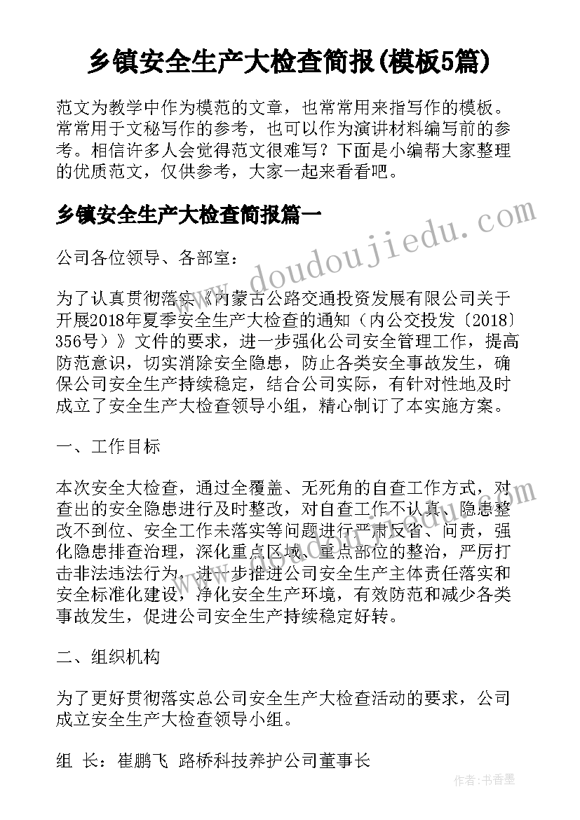 乡镇安全生产大检查简报(模板5篇)