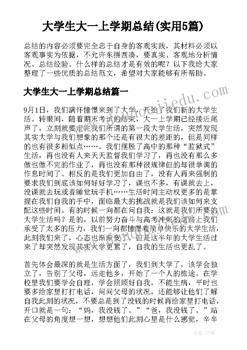 大学生大一上学期总结(实用5篇)