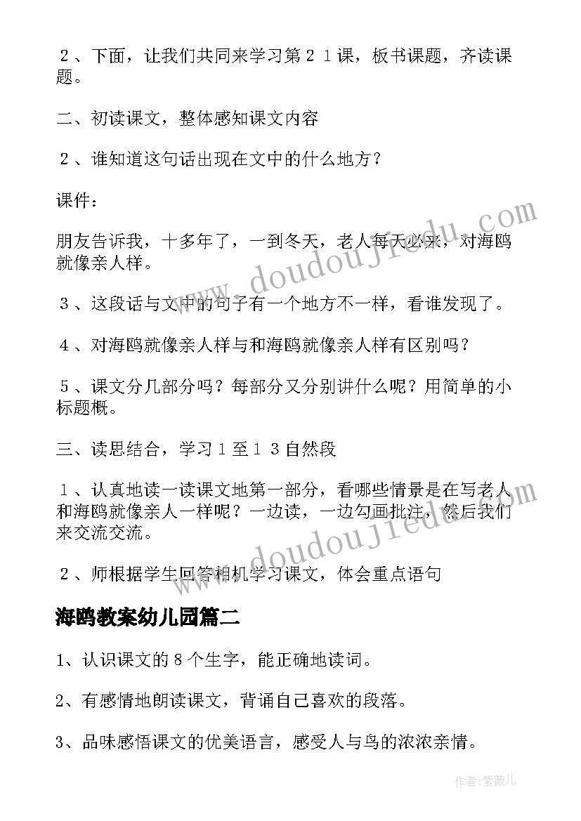 海鸥教案幼儿园(通用7篇)