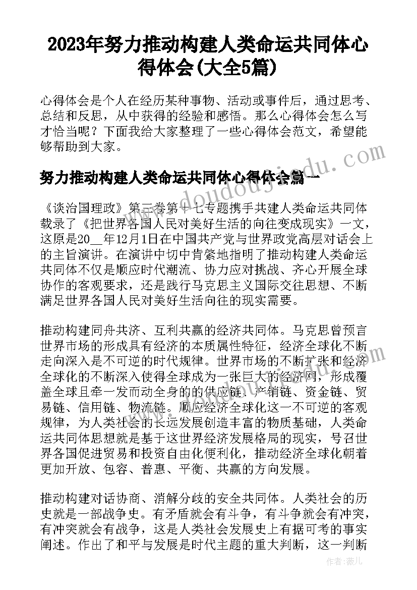 2023年努力推动构建人类命运共同体心得体会(大全5篇)