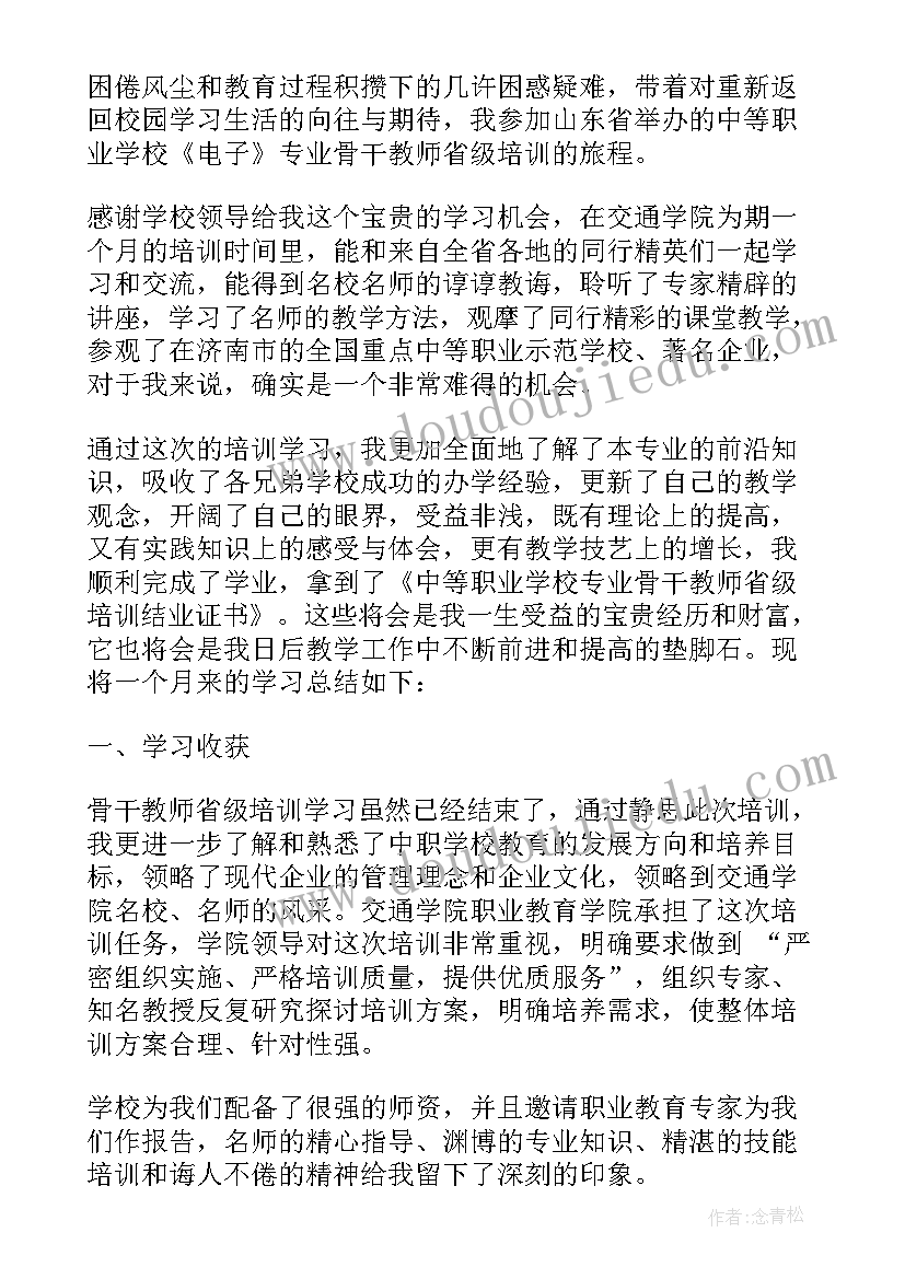 骨干培训总结心得体会 市骨干培训总结(优质10篇)