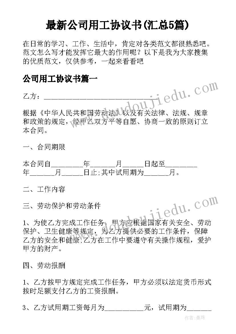 最新公司用工协议书(汇总5篇)