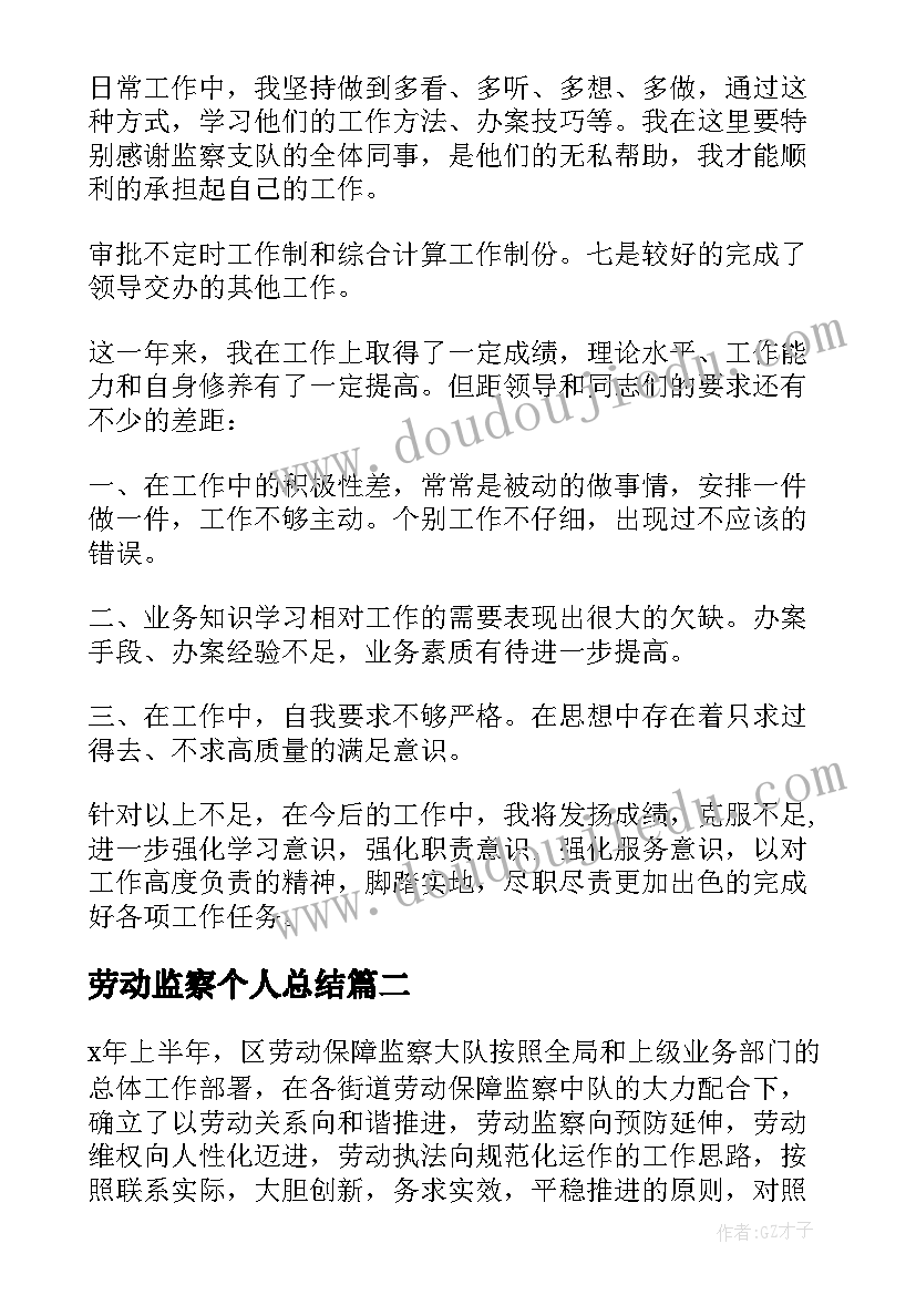 劳动监察个人总结(大全5篇)