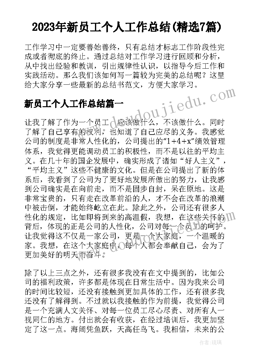 2023年新员工个人工作总结(精选7篇)