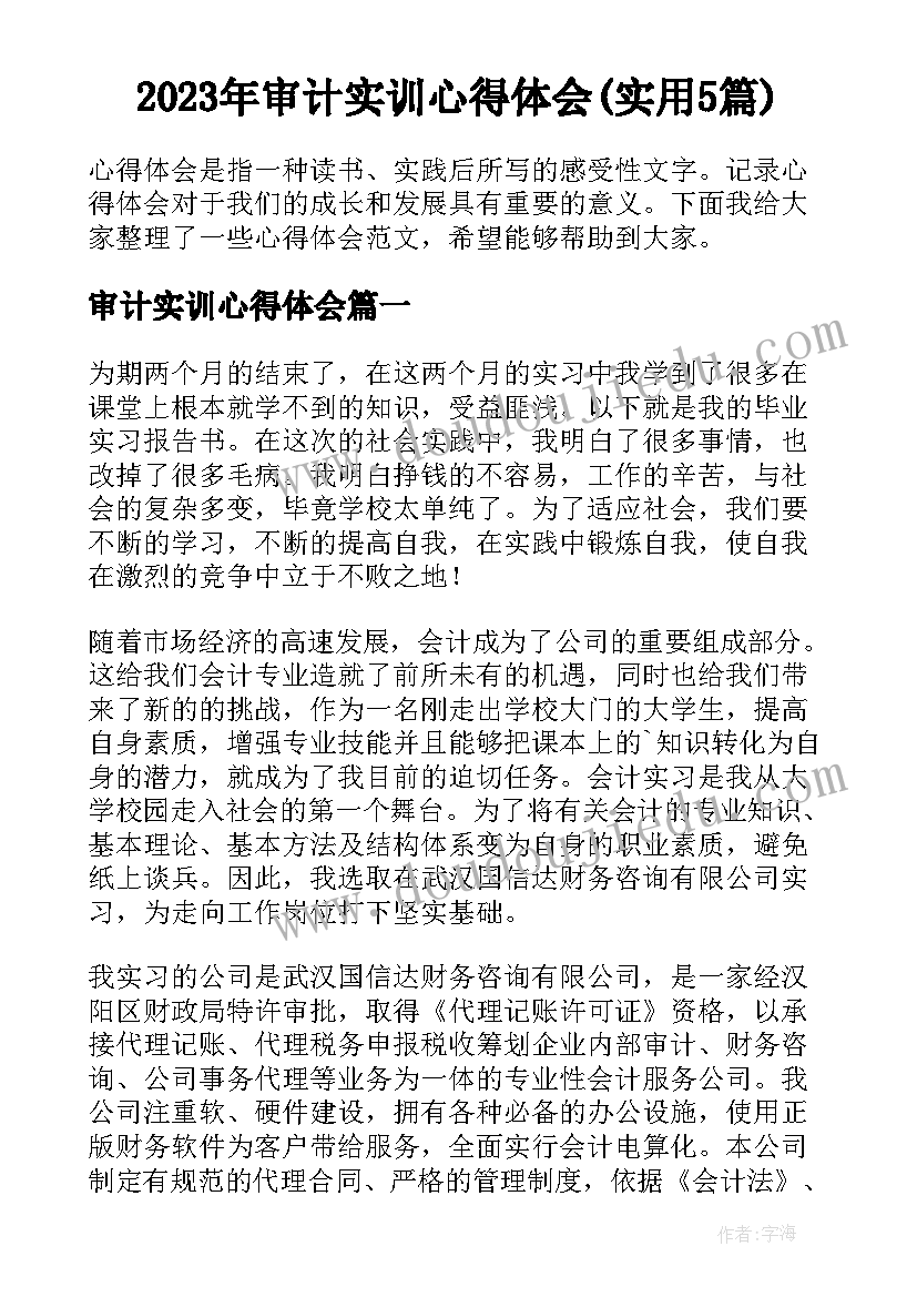 2023年审计实训心得体会(实用5篇)